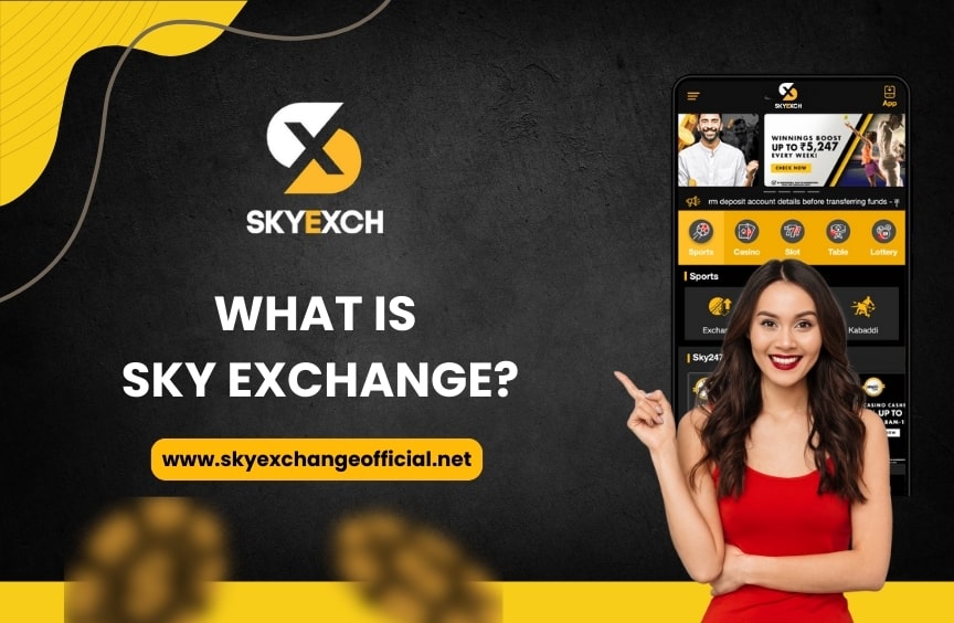 What is Sky Exchange?