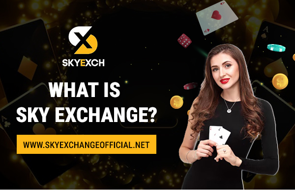 What is Sky Exchange